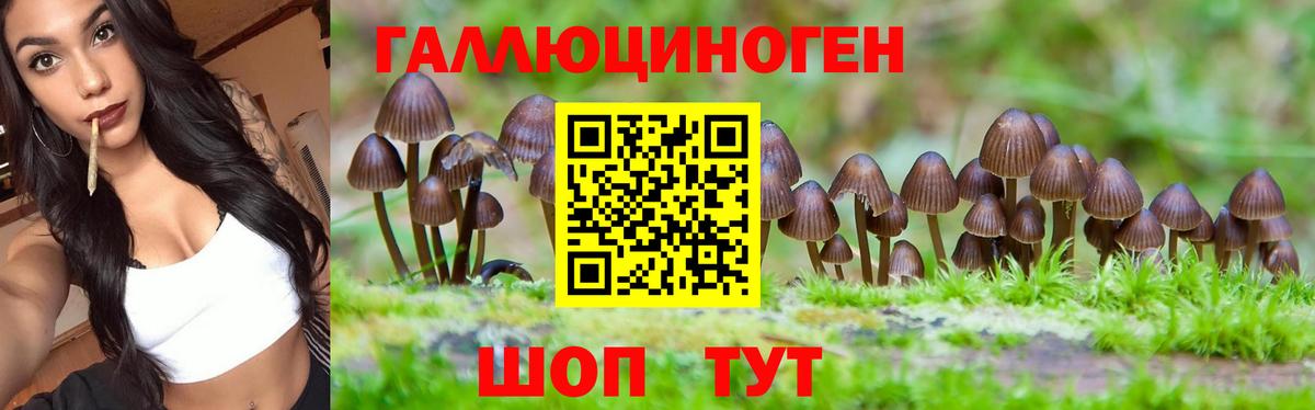 Галлюциногенные грибы прущие грибы  Вход с VPN  Славянск-на-Кубани 