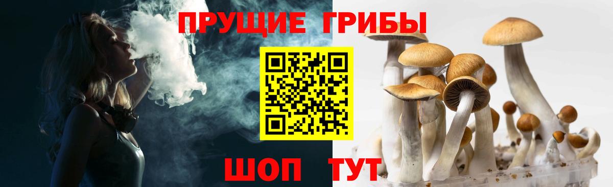 Галлюциногенные грибы прущие грибы Славянск-на-Кубани